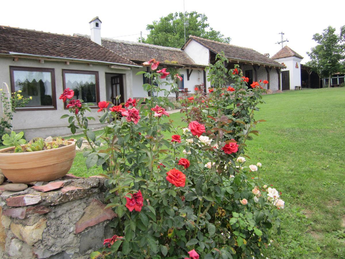 Guest House Vila Albedo Varna Buitenkant foto