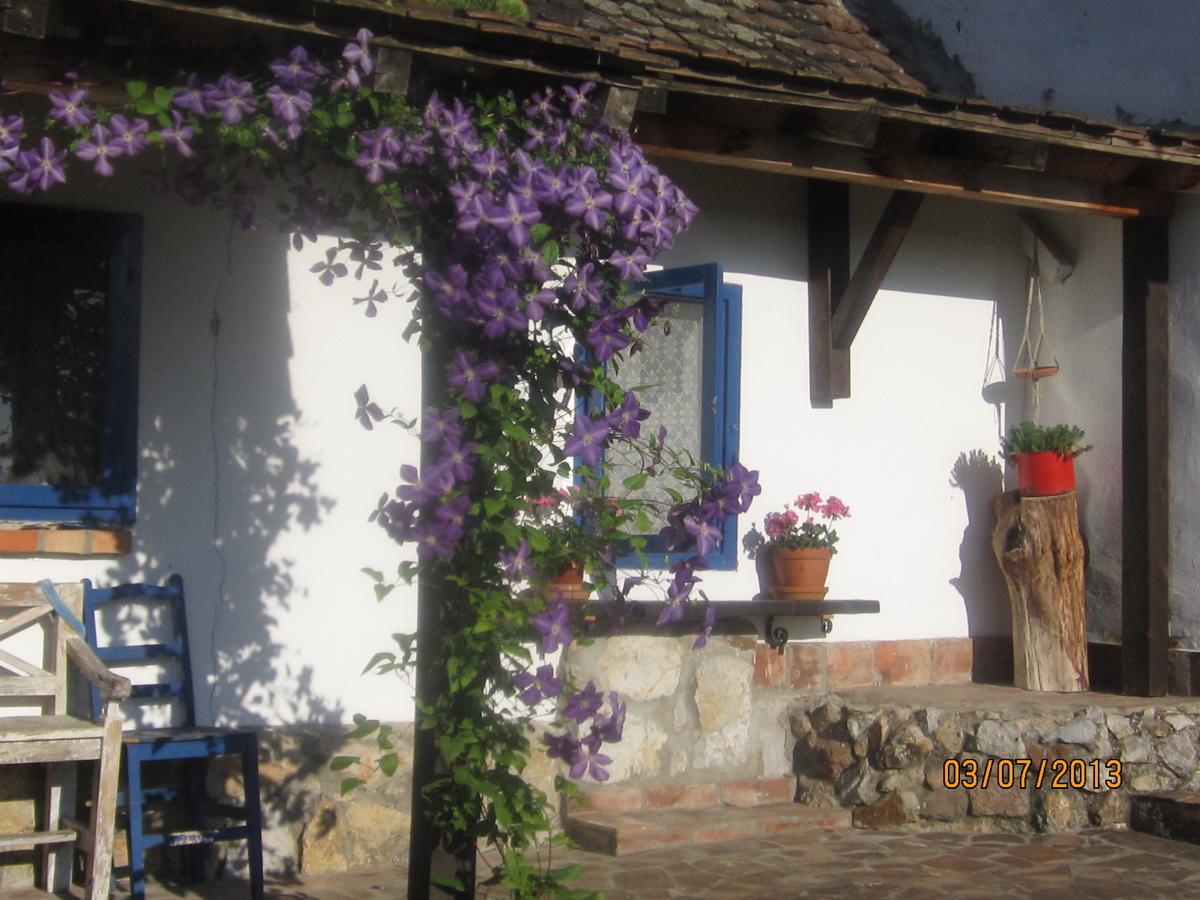 Guest House Vila Albedo Varna Buitenkant foto